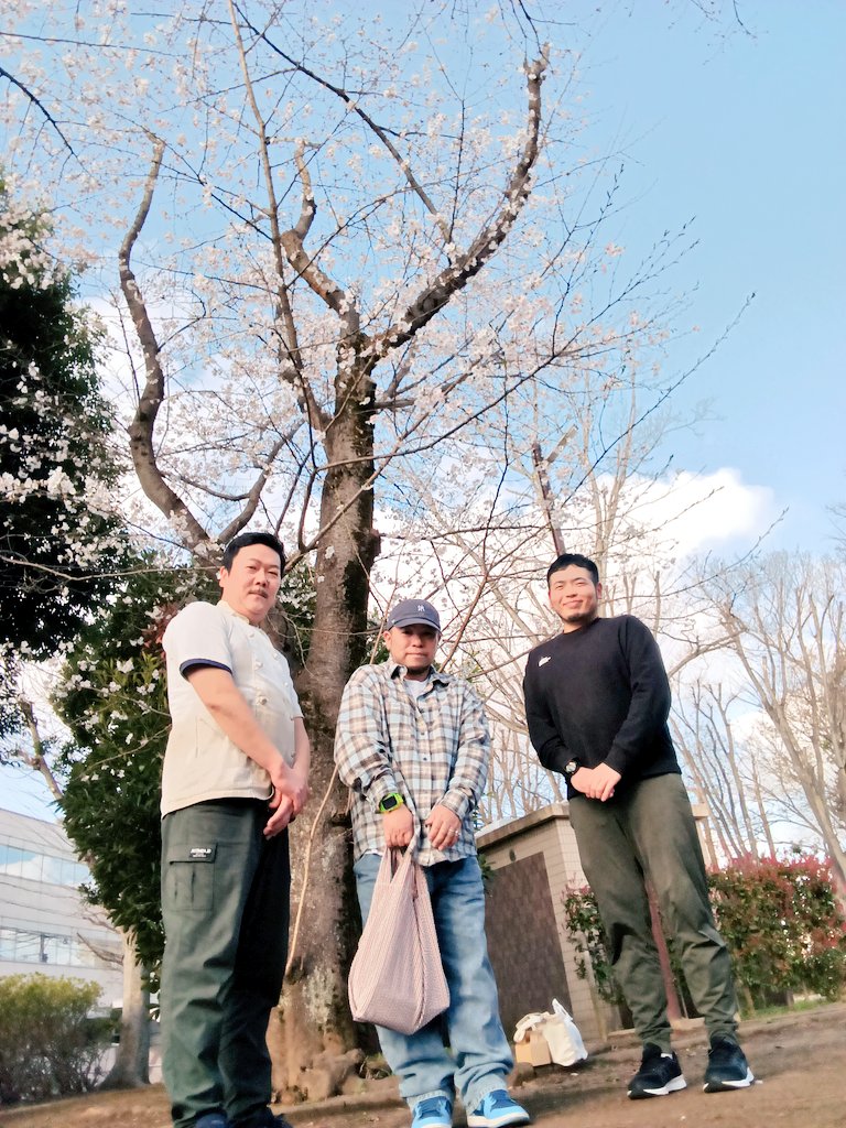 ぽんち。'26 tweet media