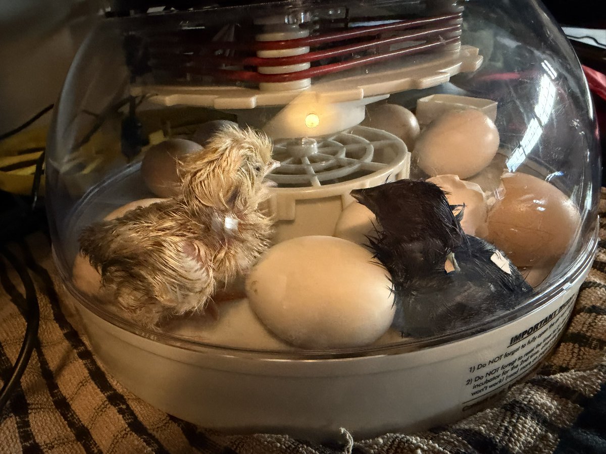 Jessica Goeken tweet media