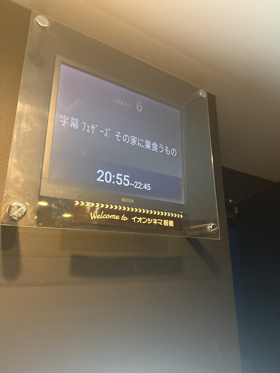 ヨッシー tweet media