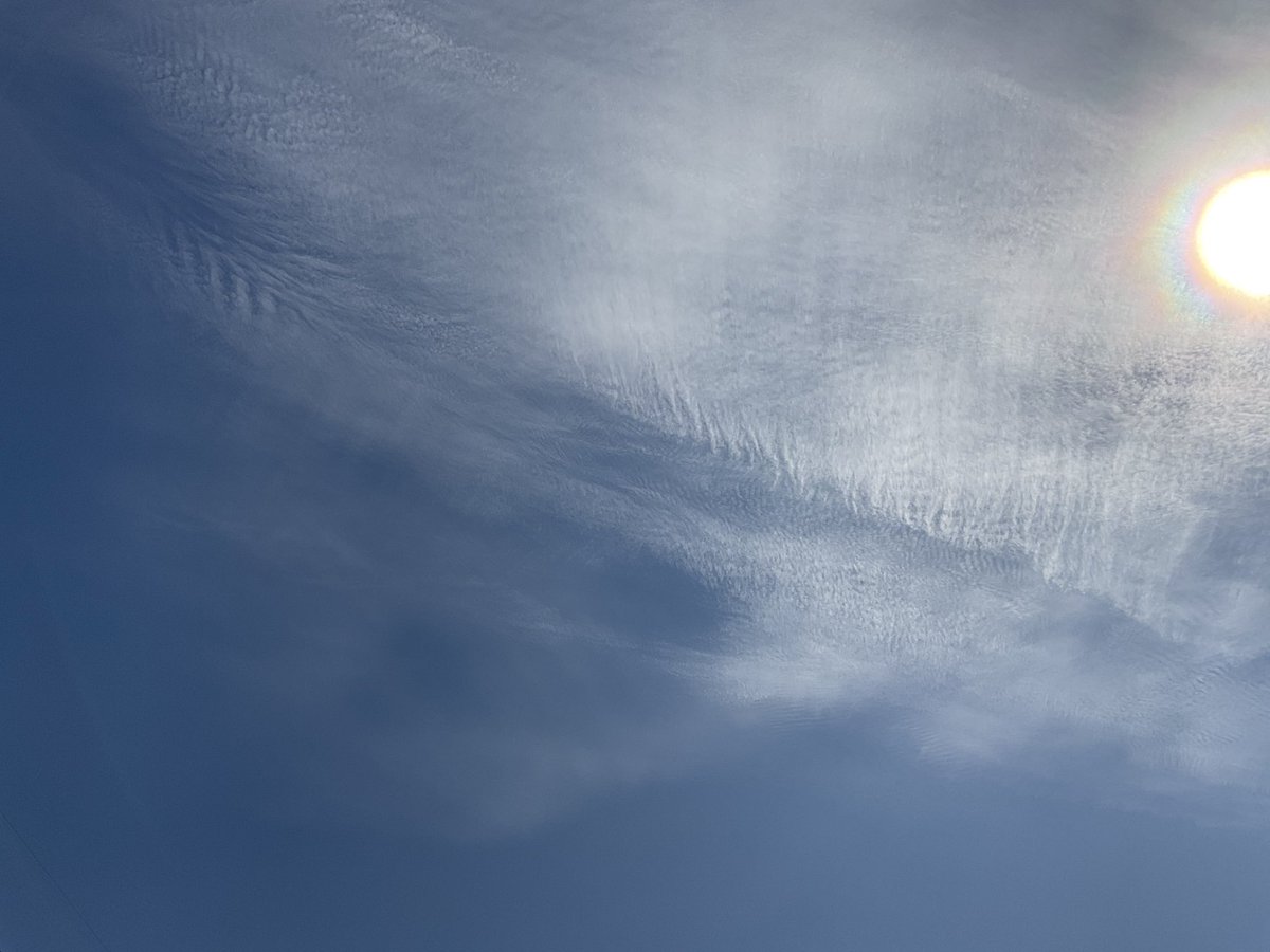 ⚜️💞🎹️🕊🎤💖💐🌹ますみ🌹💐💖🎤🕊🎹💞⚜️ tweet media