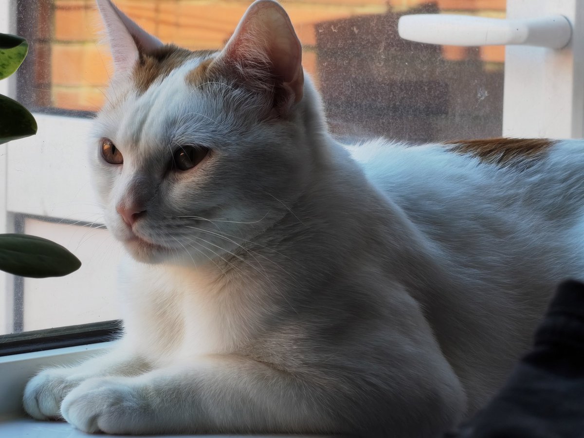 norb 🦦🚲🚋🏗️ tweet media