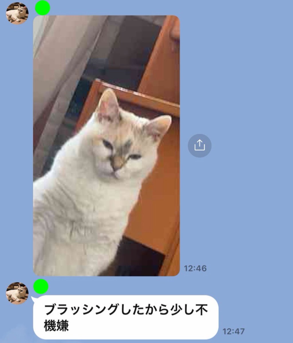 べりんこ tweet media