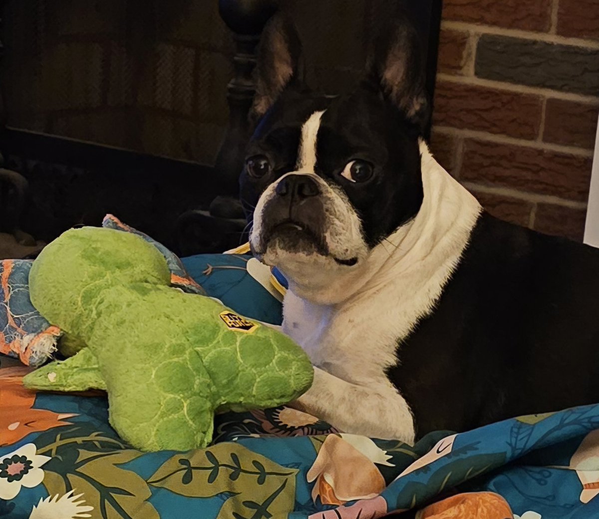 Enough Is Enough tweet media