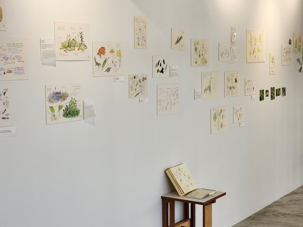 🍂 – rewilding tweet media