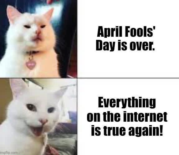 Found Sheep (@sheep_found) on Twitter photo 