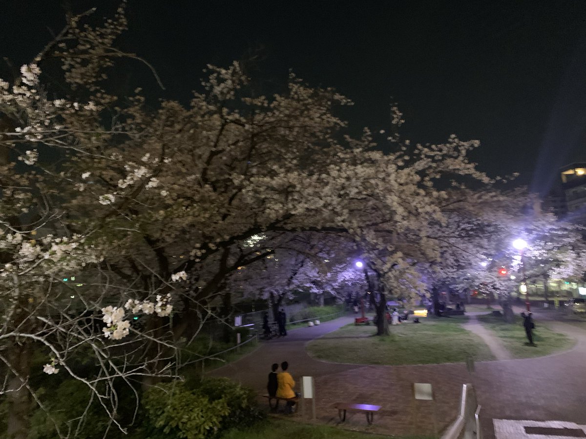 ルート43 tweet media