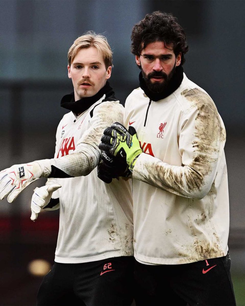 جُفول tweet media