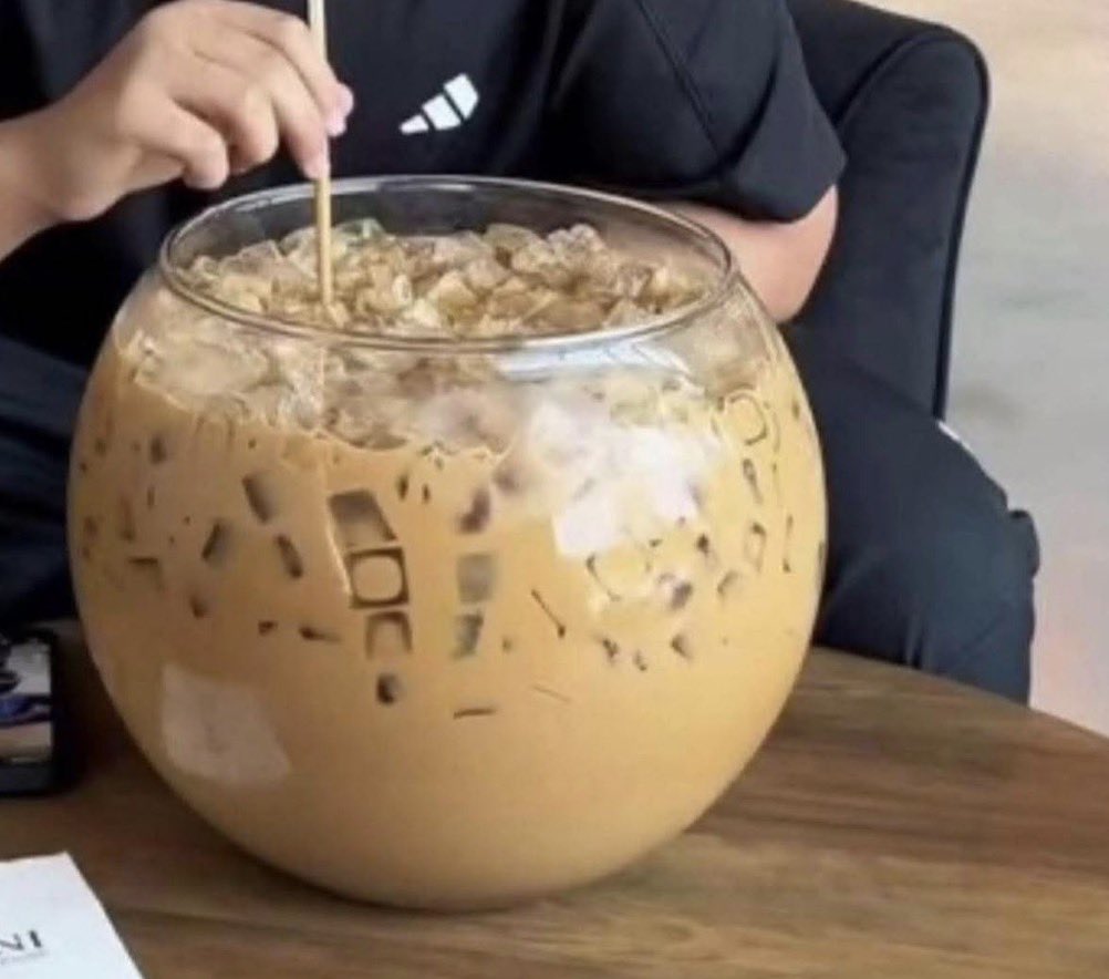 LisaLisa🌟 tweet media