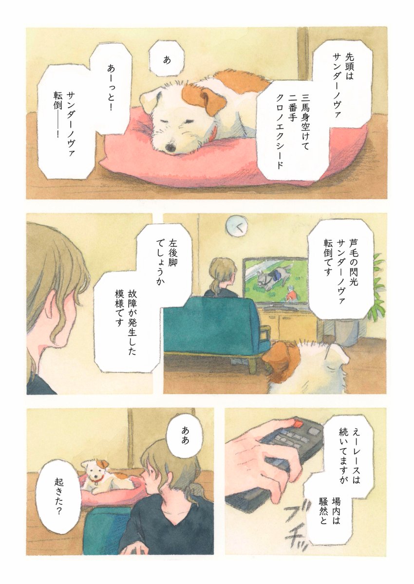 しろさめ/白雨 tweet media