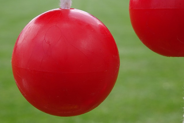 Rachel Hanegan tweet media