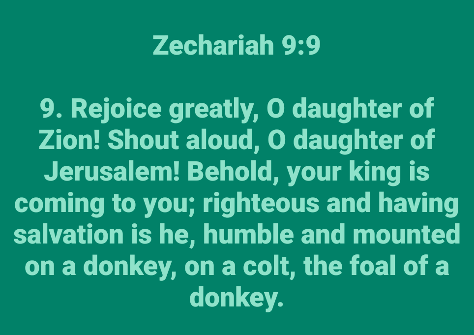 schmidt2200's tweet photo. Zechariah 9:9

9. Rejoice greatly, O daughter of Zion! Shout aloud, O daughter of Jerusalem! Behold, your king is coming to you; righteous and having salvation is he, humble and mounted on a donkey, on a colt, the foal of a donkey. https://t.co/9V1Ty1JIT8