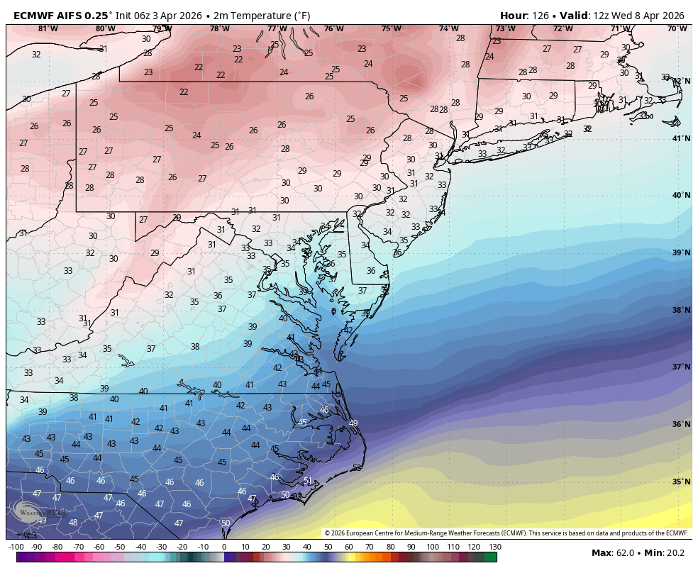 Tony Pann tweet media