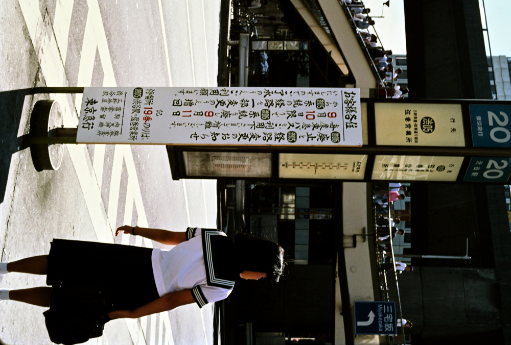 せんせい tweet media