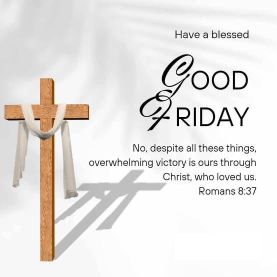 John Mersits | Mert tweet media