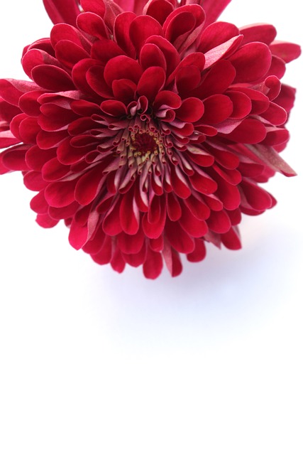 Jim Richards tweet media