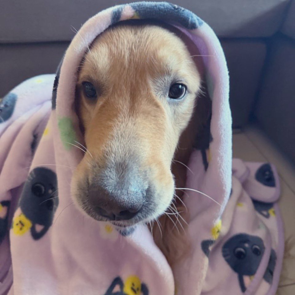 MYANTON THAILAND tweet media