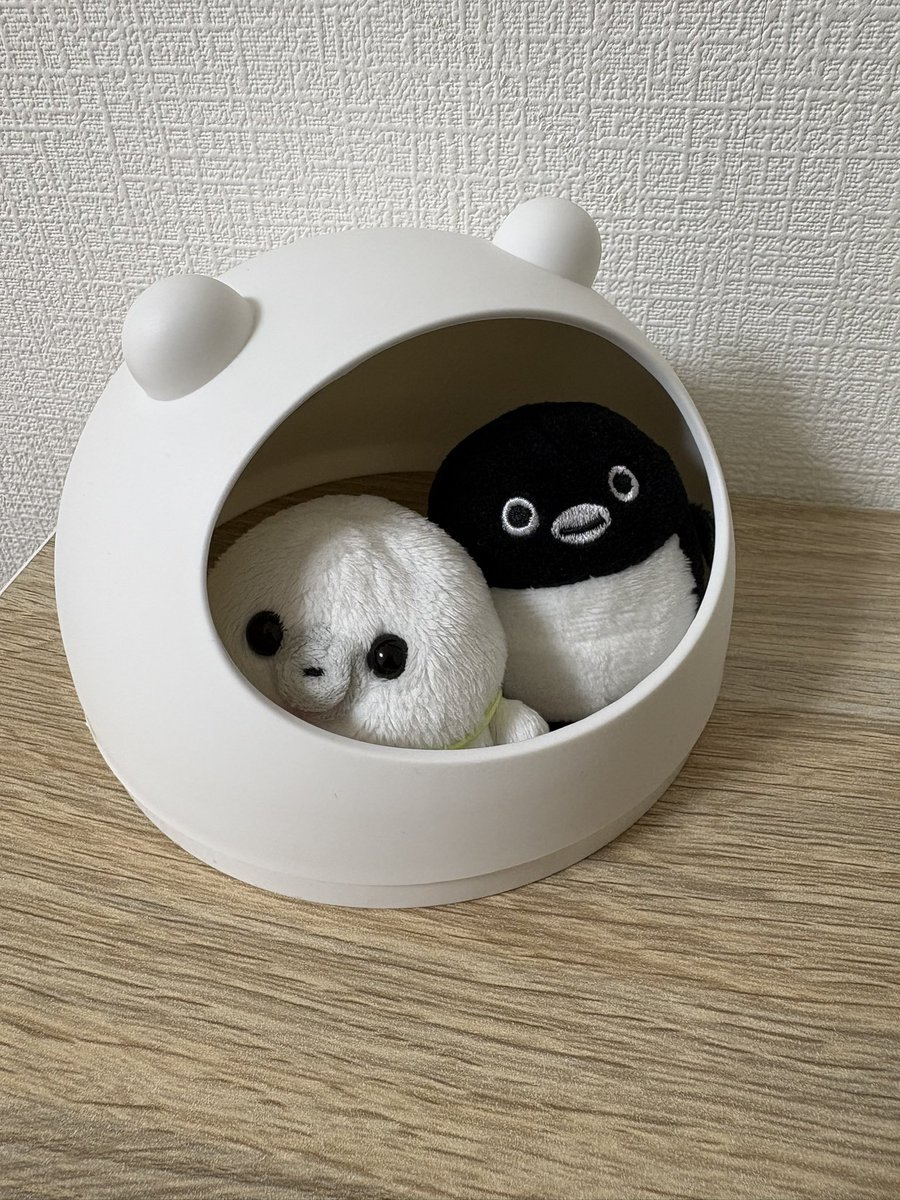 ロンちゃん tweet media