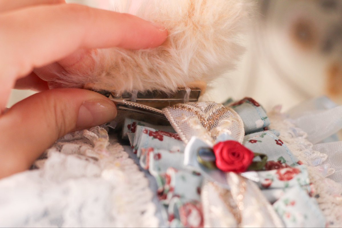 浮遊桃彩🍑ｱﾝｸﾗJ23-24・DF両日R91 tweet media