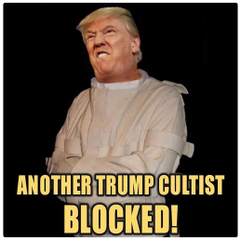 David Mattoon™ 🌊 tweet media