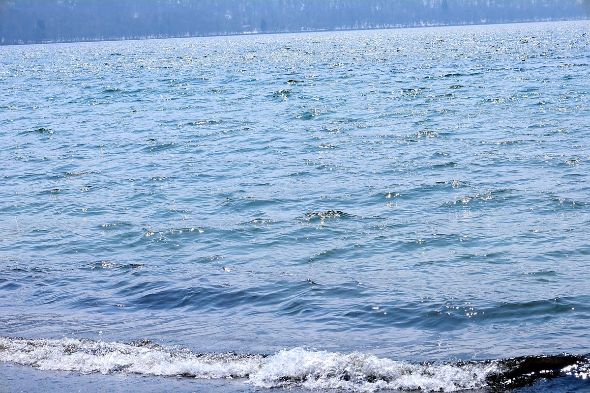 栗馴 millet tweet media