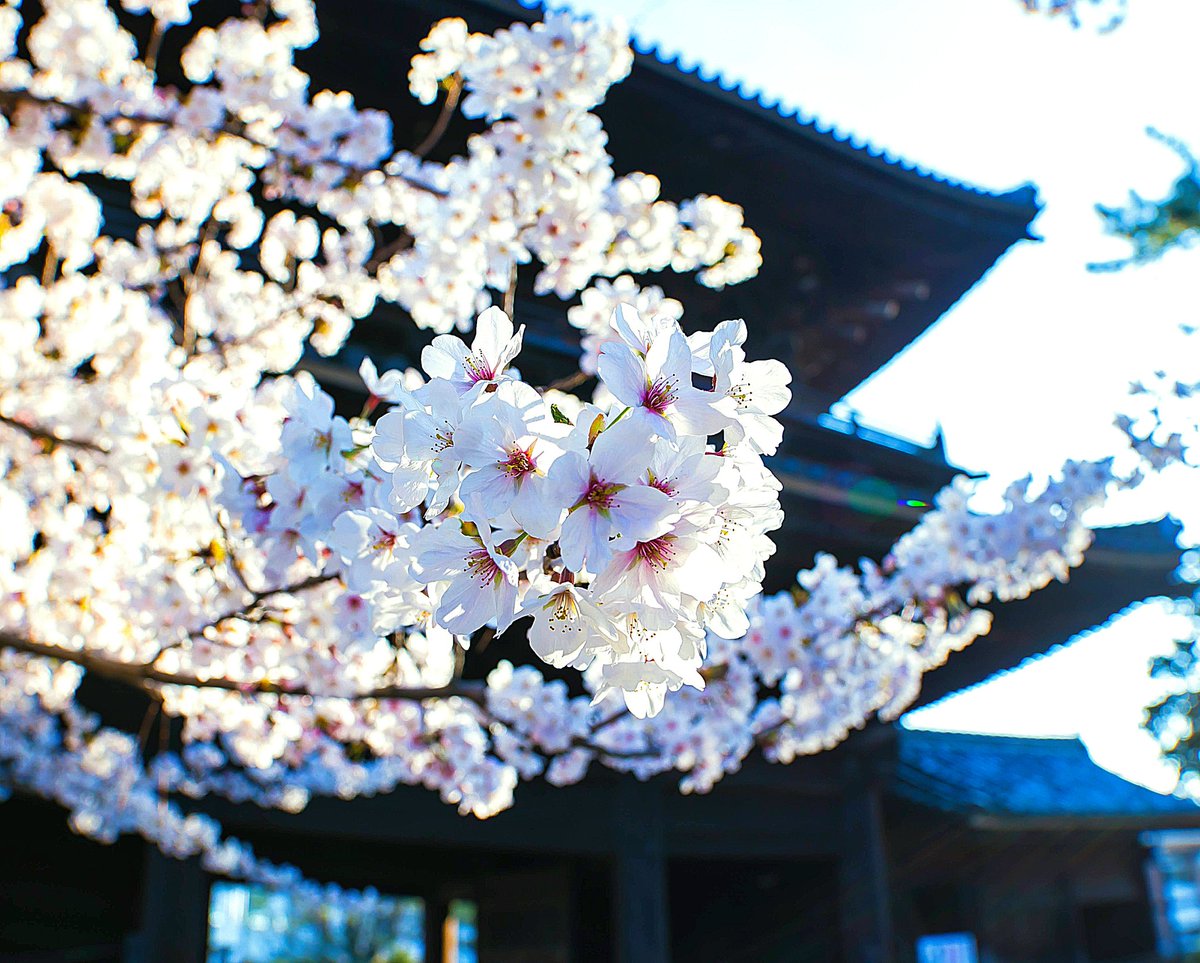 ｱｲﾁAD162/JI2IXD愛知県⇔山梨県 tweet media