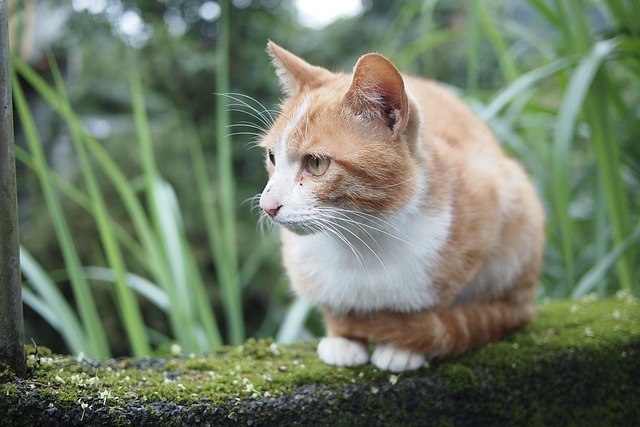 andrews36485's tweet image. 네 응원이 큰 힘이야 Jaden cảm ơn vì những khoảnh khắc 🔆 tốt đẹp شكراً لوجودك في حياتي

#NewIdeas