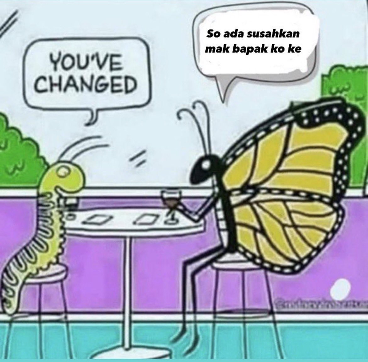 Me when there’s a little inconvenience in life