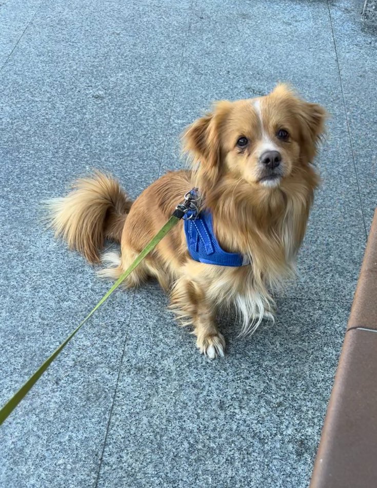 ִֶָiws ⚢ tweet media