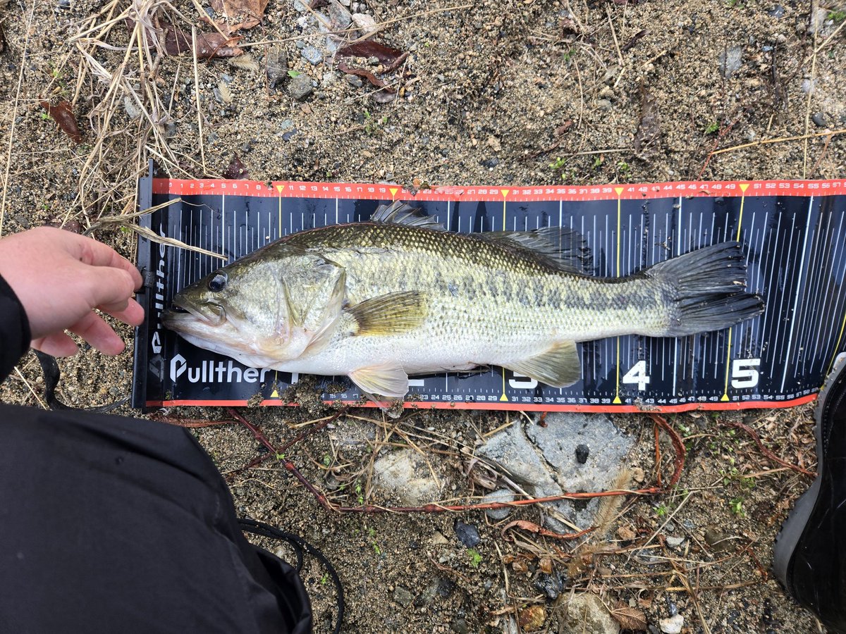 卵かけご飯 tweet media