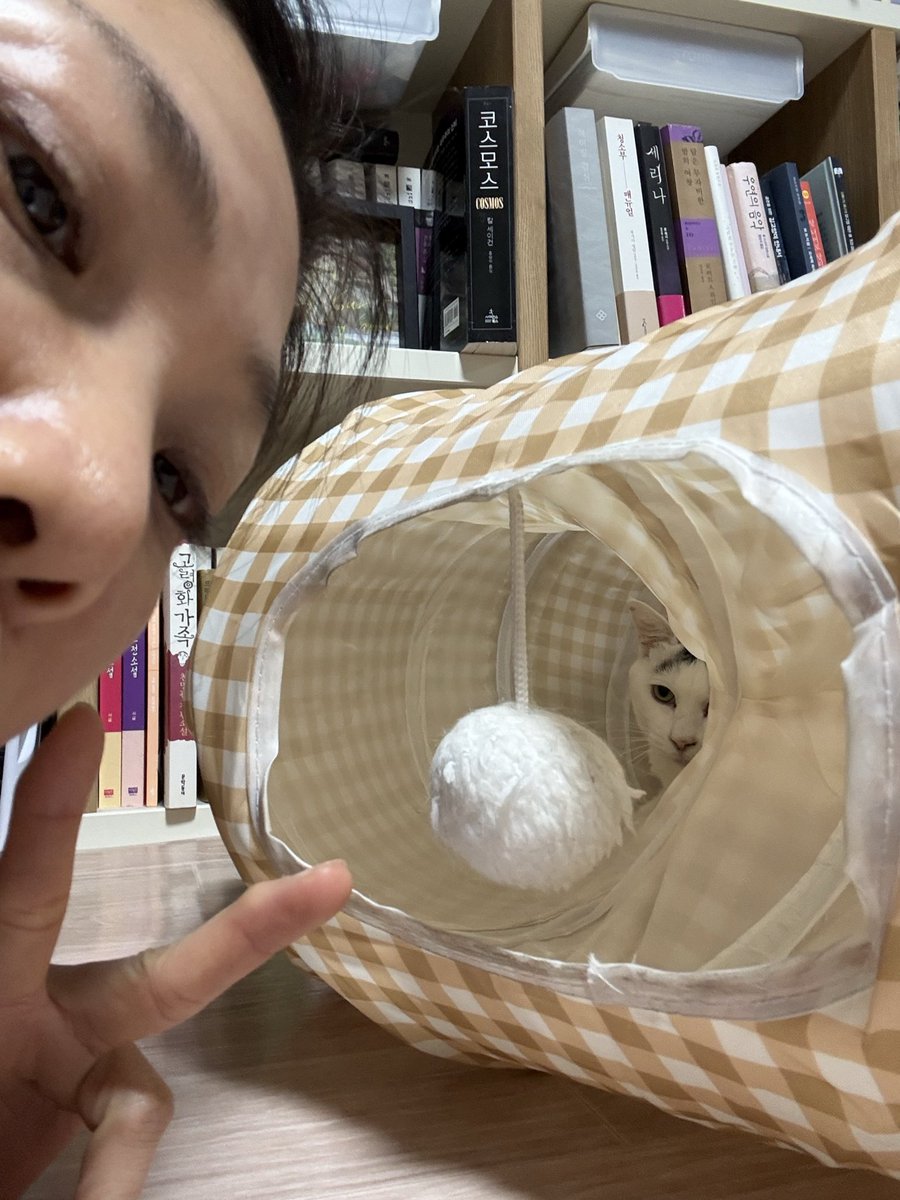 딜레이박 tweet media