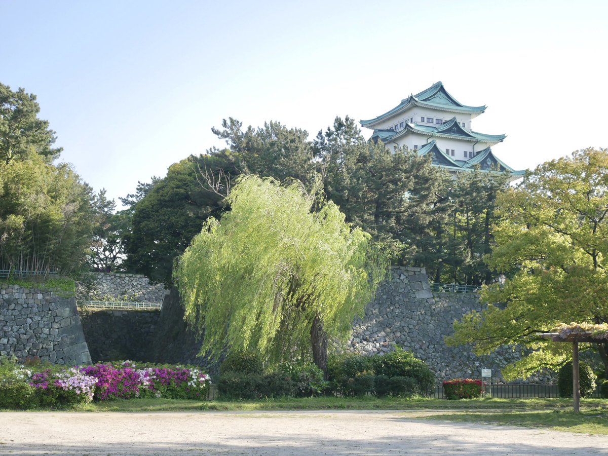 名古屋グルメ探偵 アスカイ tweet media