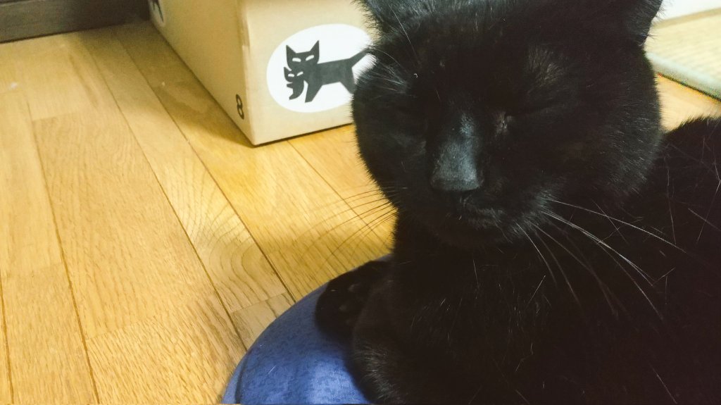 幸せの黄色いラビット tweet media