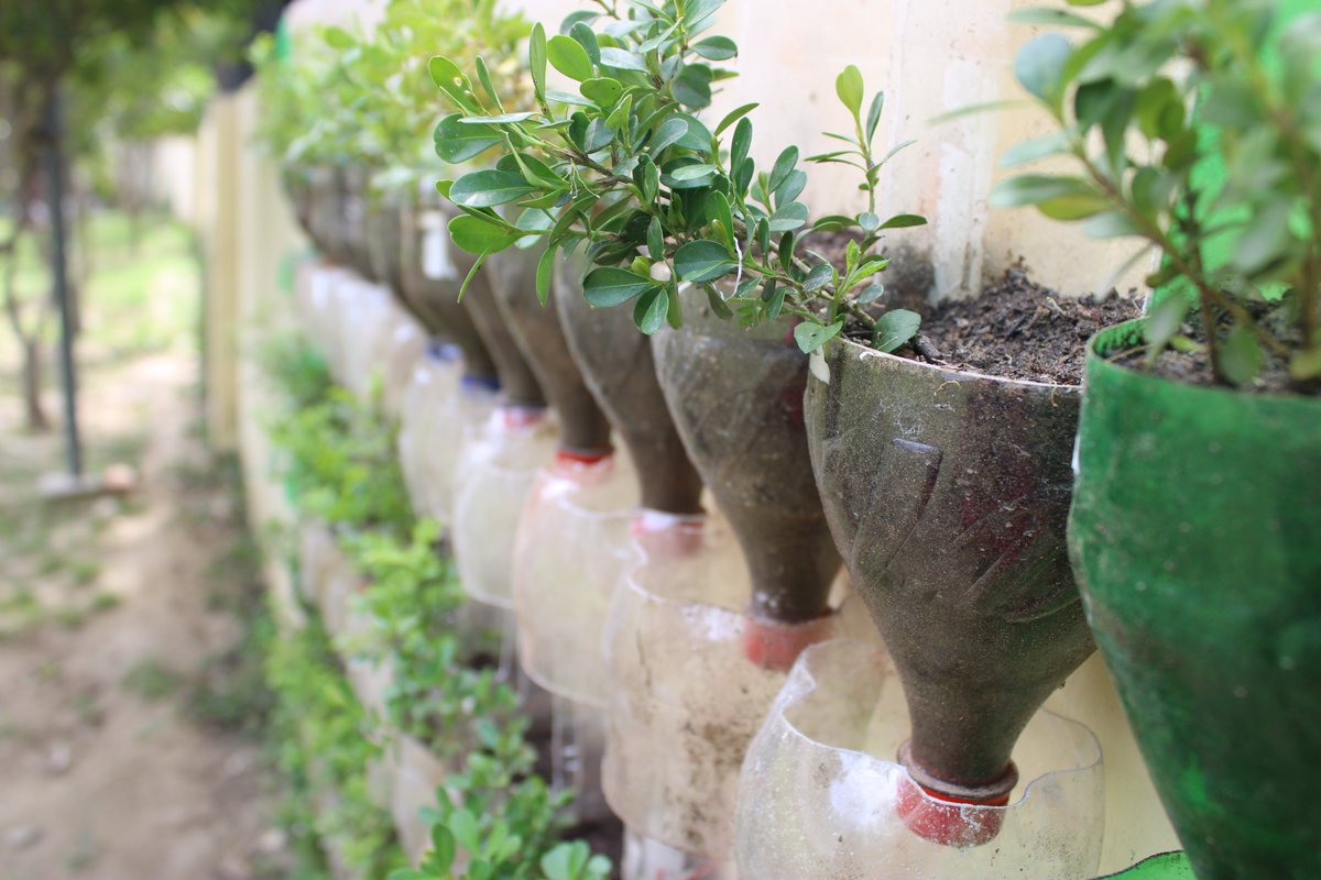 CB_Amritsar's tweet photo. In line with water conservation and sustainability objectives under "Jal Sanchay Jan Bhagidari", Cantonment Board Amritsar has developed a vertical garden wall at the Guest House, incorporating a gravity-based drip irrigation system for efficient water utilization. @pdde_wc #JSJB https://t.co/tiriMtv2sl