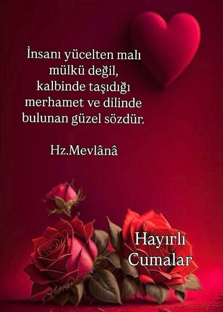 Sibel Çeçen Yavaş tweet media