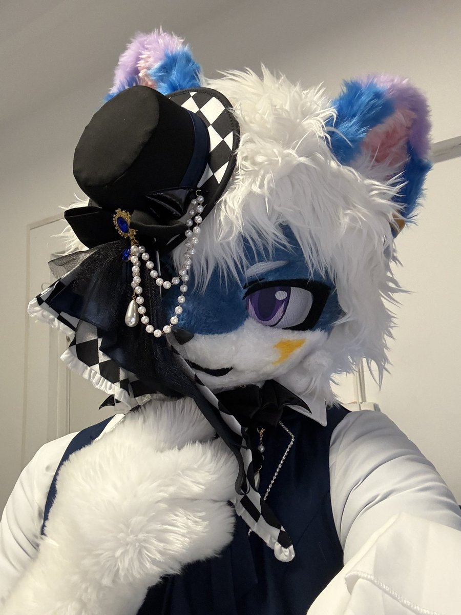 犹抱琵琶半遮面的猫猫，更有魅力哦～

#FursuitFryday