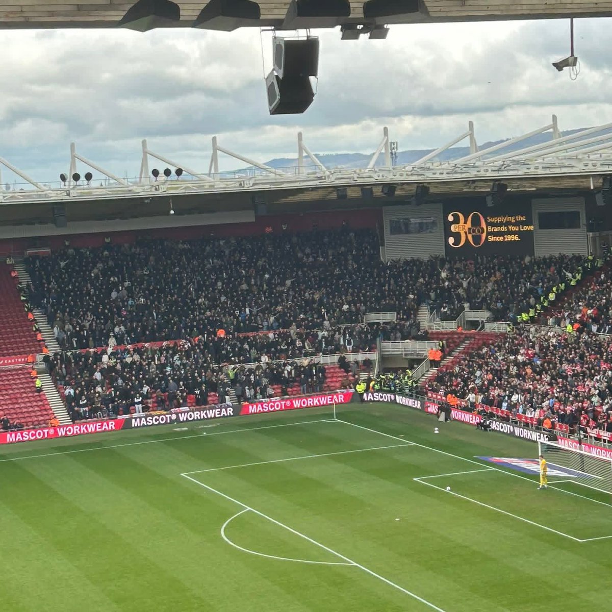 Oi Oi Wall tweet media