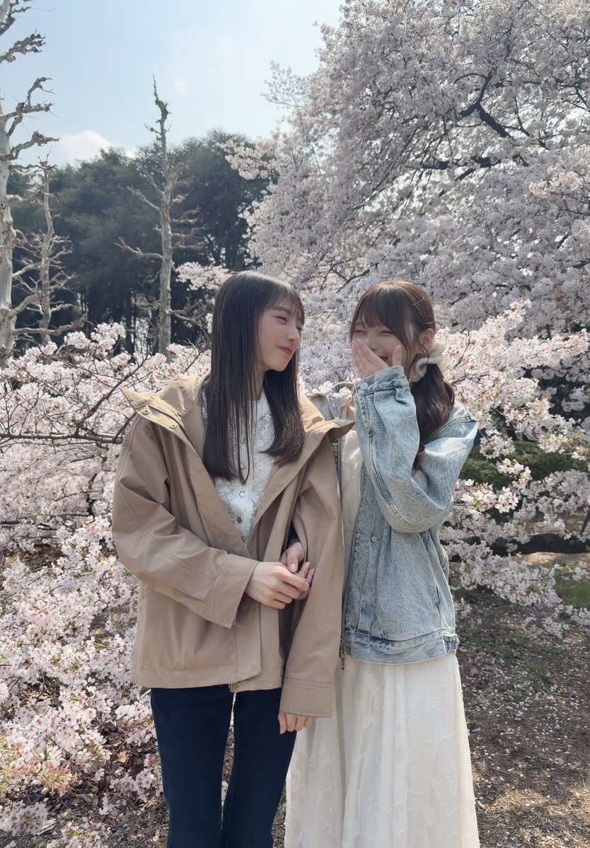 乃木坂46 tweet media