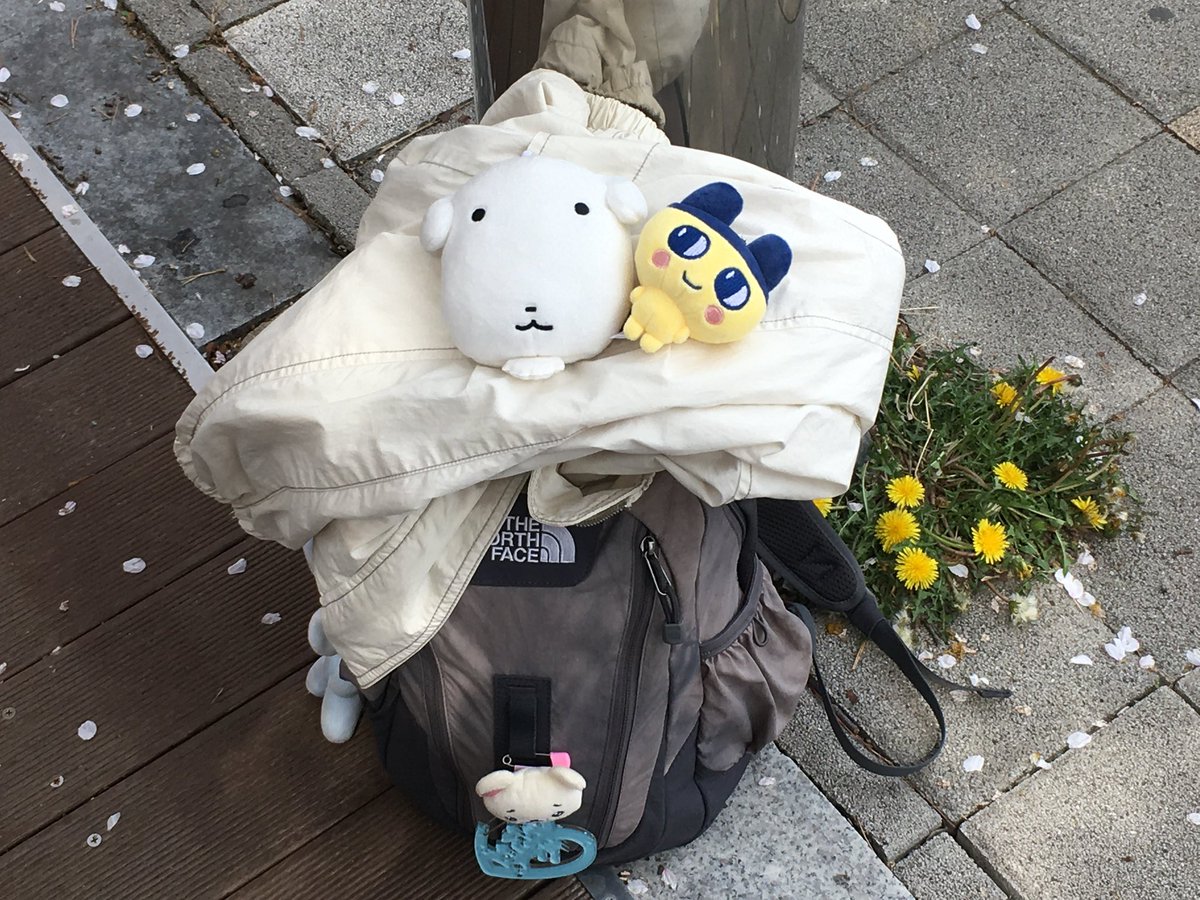 행운!! tweet media