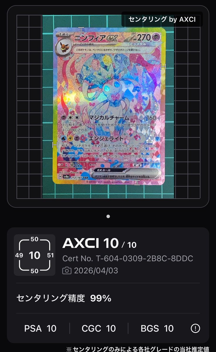 はる@サンダースを愛でる人 tweet media