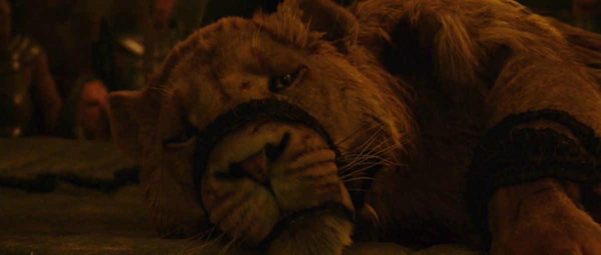 lou 🌷 tweet media