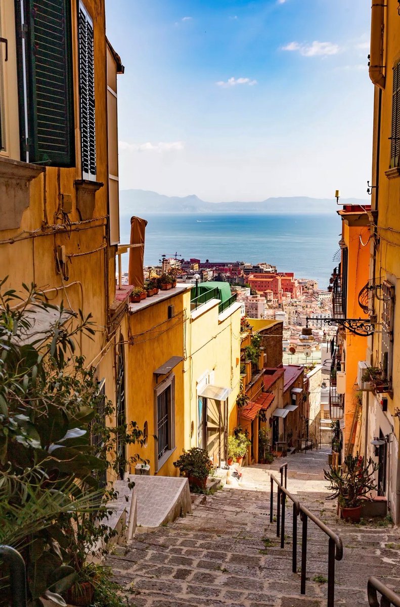 Bittersweet Tess tweet media