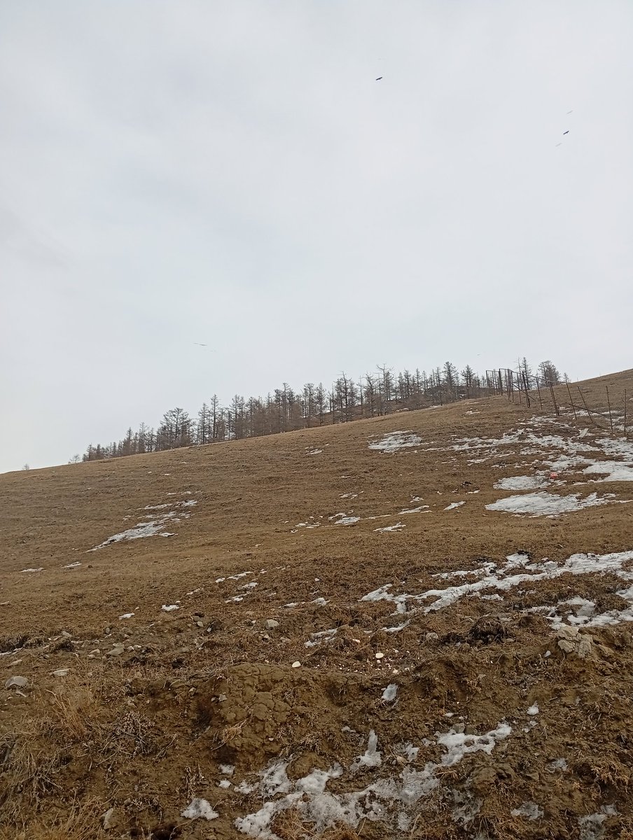 Zuljargal 🌏 tweet media