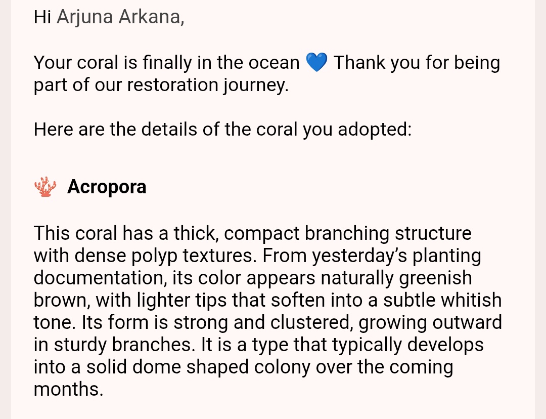 Yong💢 tweet media