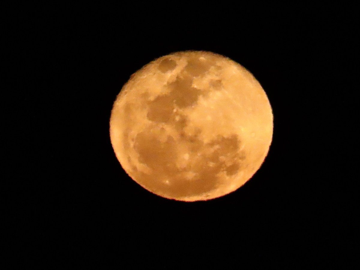 Raffy Tima tweet media