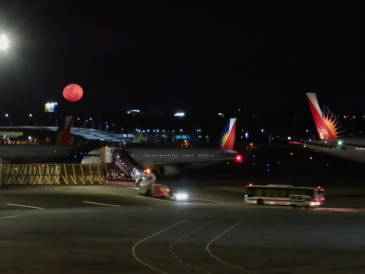 Raffy Tima tweet media