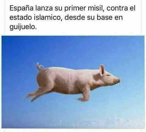 vicmies (Victoria) tweet media