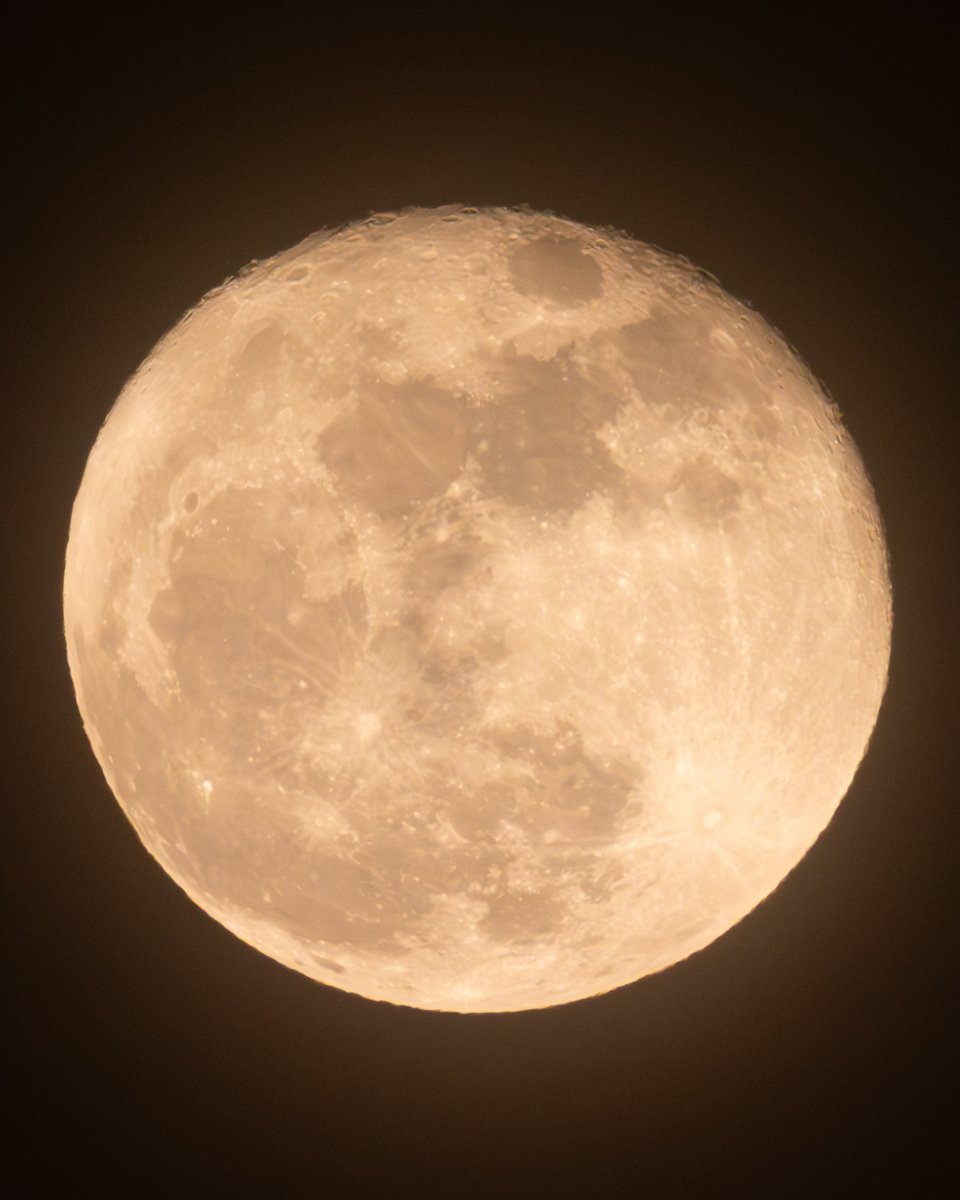 星の観察館「満天星」 tweet media