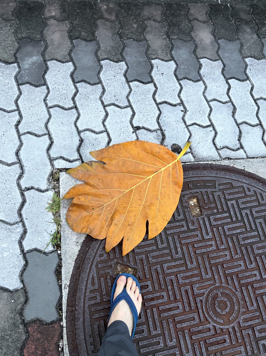 武田ビーム tweet media