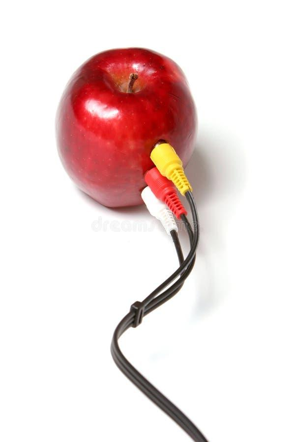 psiplants tweet media