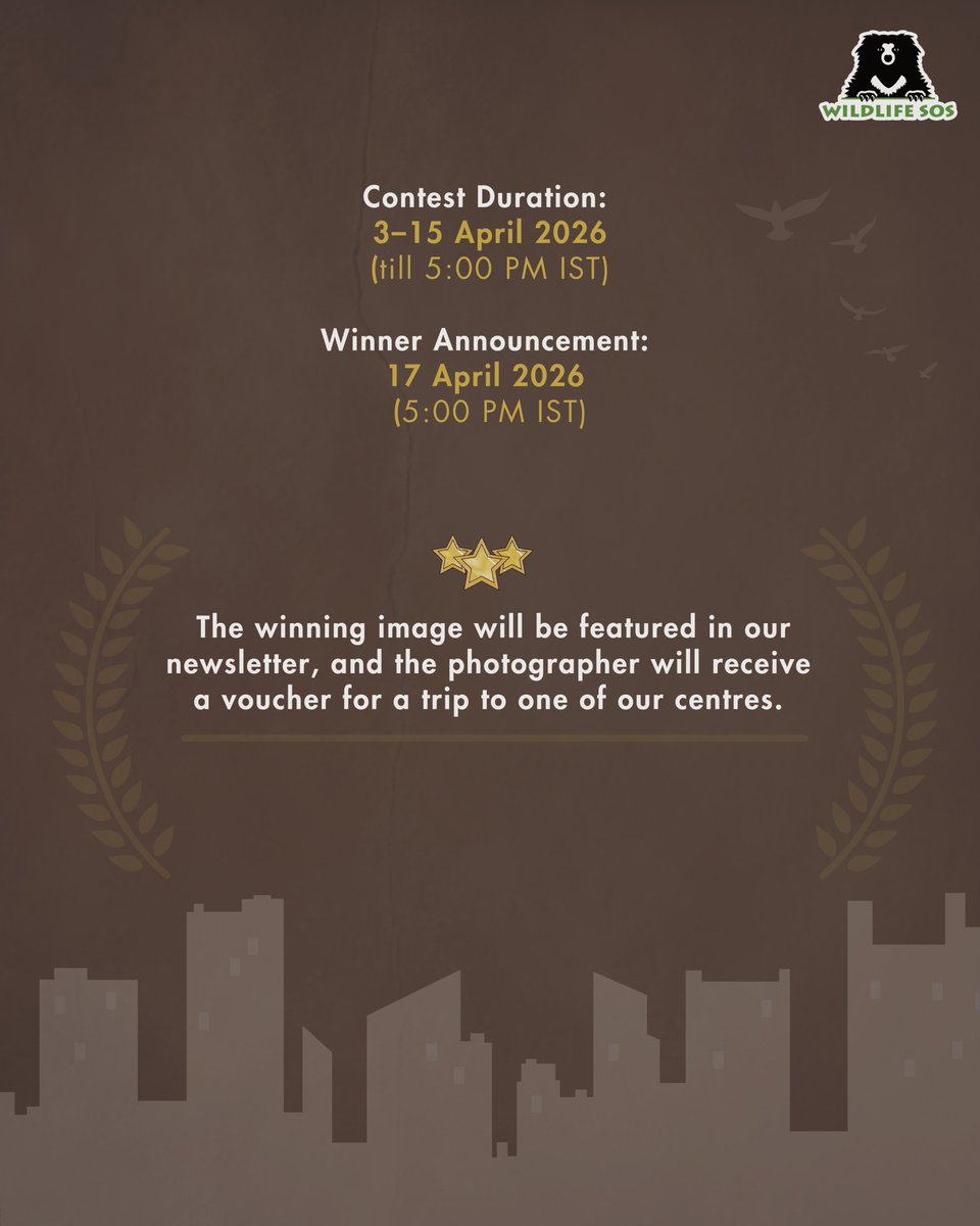 WildlifeSOS's tweet image. #Contest 

Capture the wild of your city and tell a story through your lens! 

There is a lot to take in around a metropolis, and the urban wild is often overlooked. Yet it plays an important role in sustaining our bustling city ecosystems. This April, we are bringing the focus
